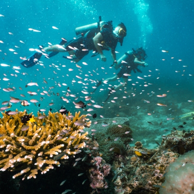 Tours, Scuba Diving