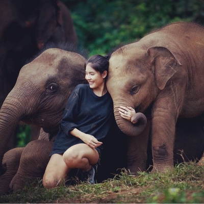 Tours, Wildlife Tours