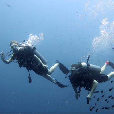 Tours, Scuba Diving, Snorkelling
