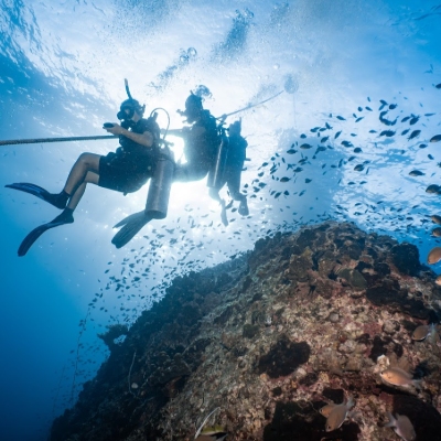 Tours, Scuba Diving
