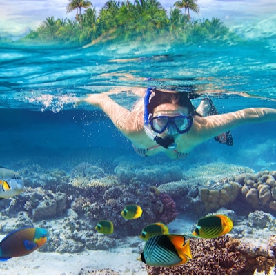 Tours, Scuba Diving, Boat Tours