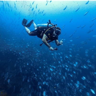 Water Sports, Tours, Scuba Diving