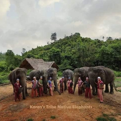 Tours, Wildlife Tours