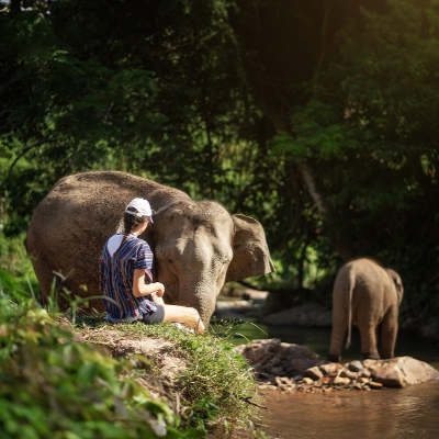 Tours, Wildlife Tours