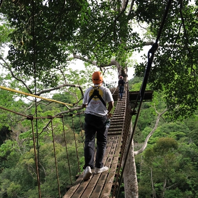 Adventure, Ziplines