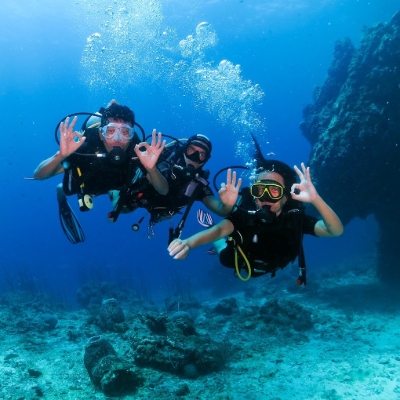 Tours, Scuba Diving, Snorkelling