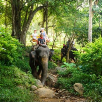 Tours, Wildlife Tours in Kata Beach 