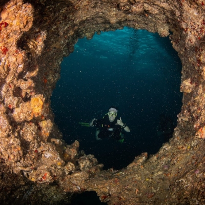Tours, Scuba Diving, Snorkelling