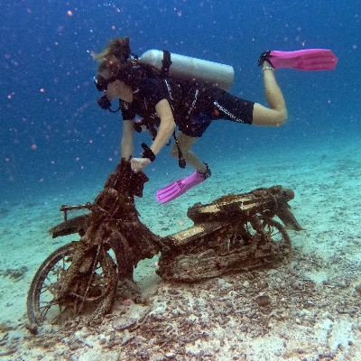 Tours, Scuba Diving, Snorkelling