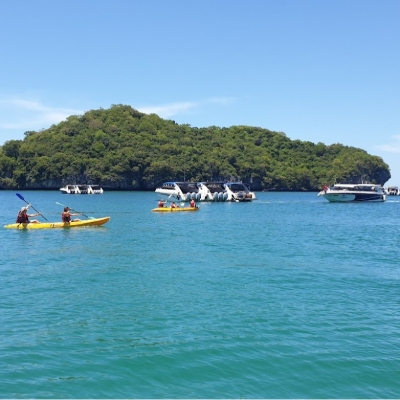 Tours, Adventure Tours, Boat Tours