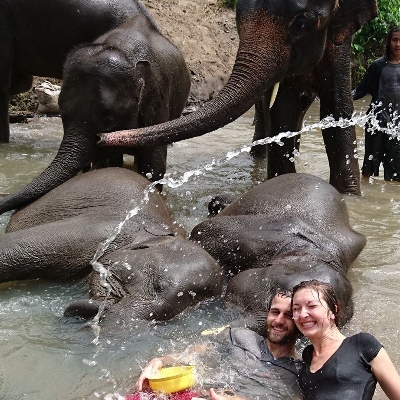 Tours, Wildlife Tours