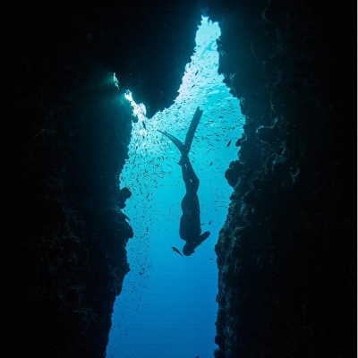 Tours, Boat Tours, Scuba Diving