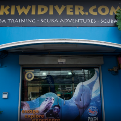 Tours, Scuba Diving, Boat Tours