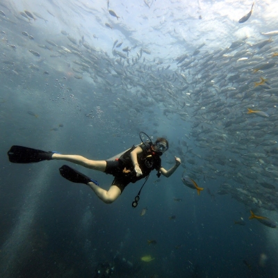 Tours, Scuba Diving