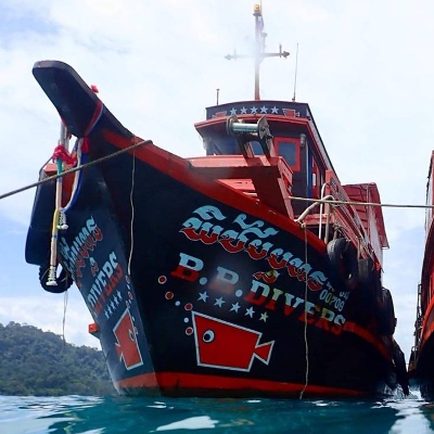 Tours, Scuba Diving, Snorkelling