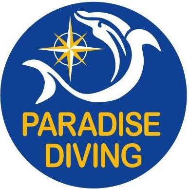 Tours, Scuba Diving, Snorkelling