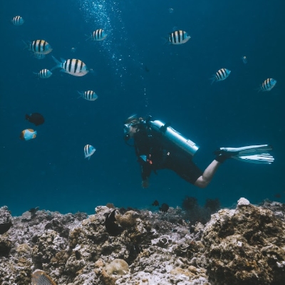 Tours, Scuba Diving