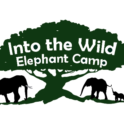 Tours, Wildlife Tours, Day Trips in Chiang Mai City 