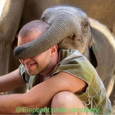 Tours, Cultural Tours, Day Trips in Chiang Mai City 