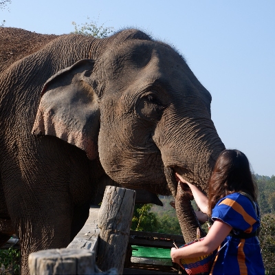 Tours, Wildlife Tours