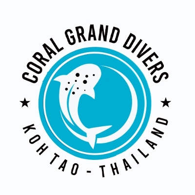 Tours, Scuba Diving