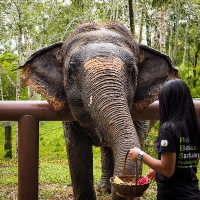 Tours, Wildlife Tours, Day Trips