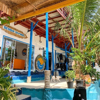 Tours, Scuba Diving
