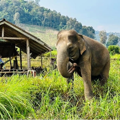 Tours, Wildlife Tours