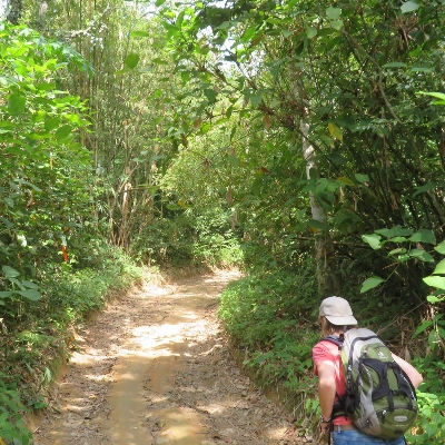 Tours, Hiking Tours
