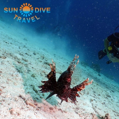 Tours, Scuba Diving, Fishing Tours