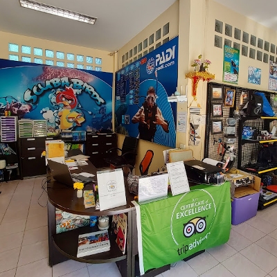 Tours, Scuba Diving, Snorkelling