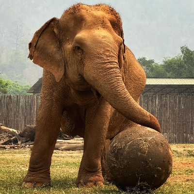 Tours, Wildlife Tours