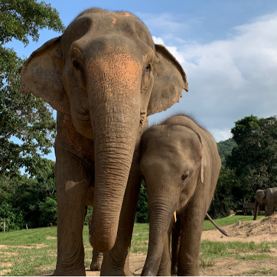Tours, Wildlife Tours