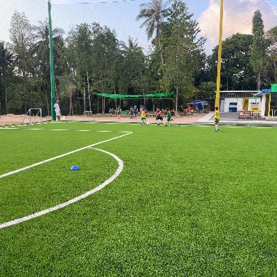 Tours, Sports Camps