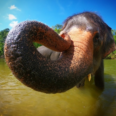 Tours, Wildlife Tours