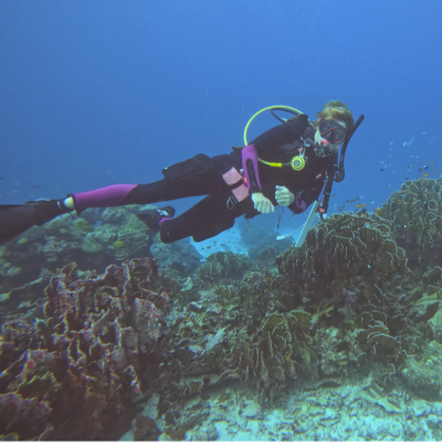 Tours, Scuba Diving, Wildlife Tours in Khuk Khak 