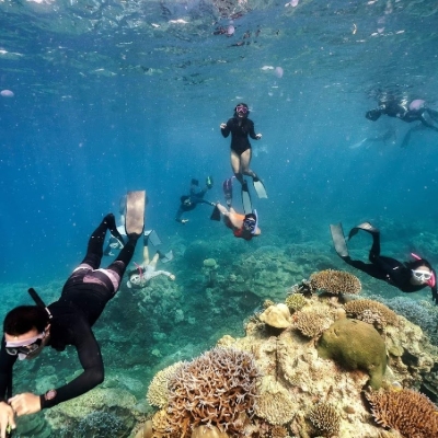 Tours, Scuba Diving