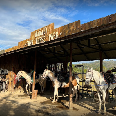 Wildlife Areas, Horseback Riding, Tours