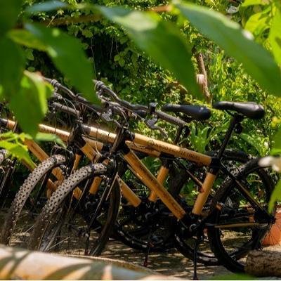 Tours, Cultural Tours, Bike Tours