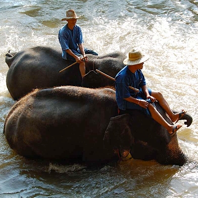 Tours, Cultural Tours
