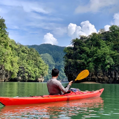 Tours, Wildlife Tours, Tour Guides
