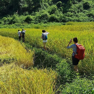 Tours, Walking Tours, Hiking Tours in Phra Singh 