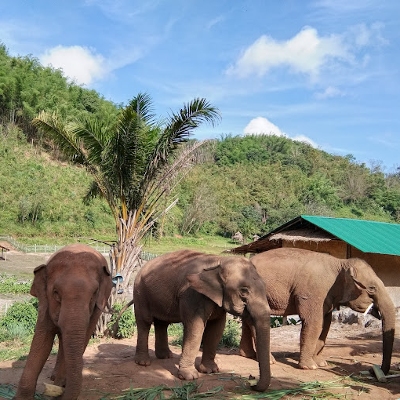 Tours, Wildlife Tours
