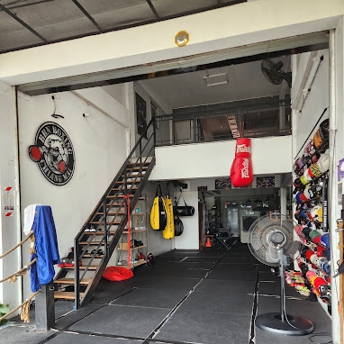 Muay Thai Gym, Shows
