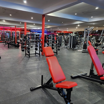 Muay Thai Gym, Yoga, Tours in Patong 