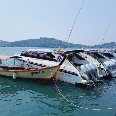 Tours, Scuba Diving, Boat Tours