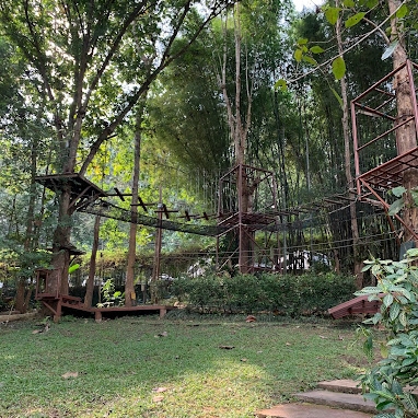 Adventure, Ziplines