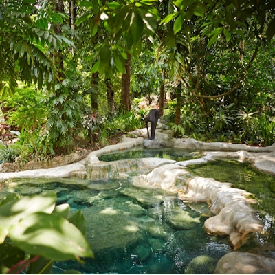 Spas, Thai Massage