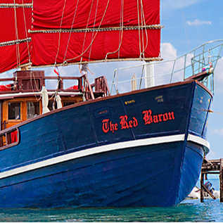 Tours, Boat Tours, Fishing Tours