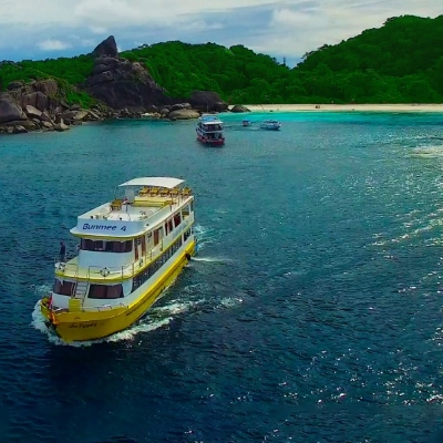 Tours, Boat Tours, Day Trips